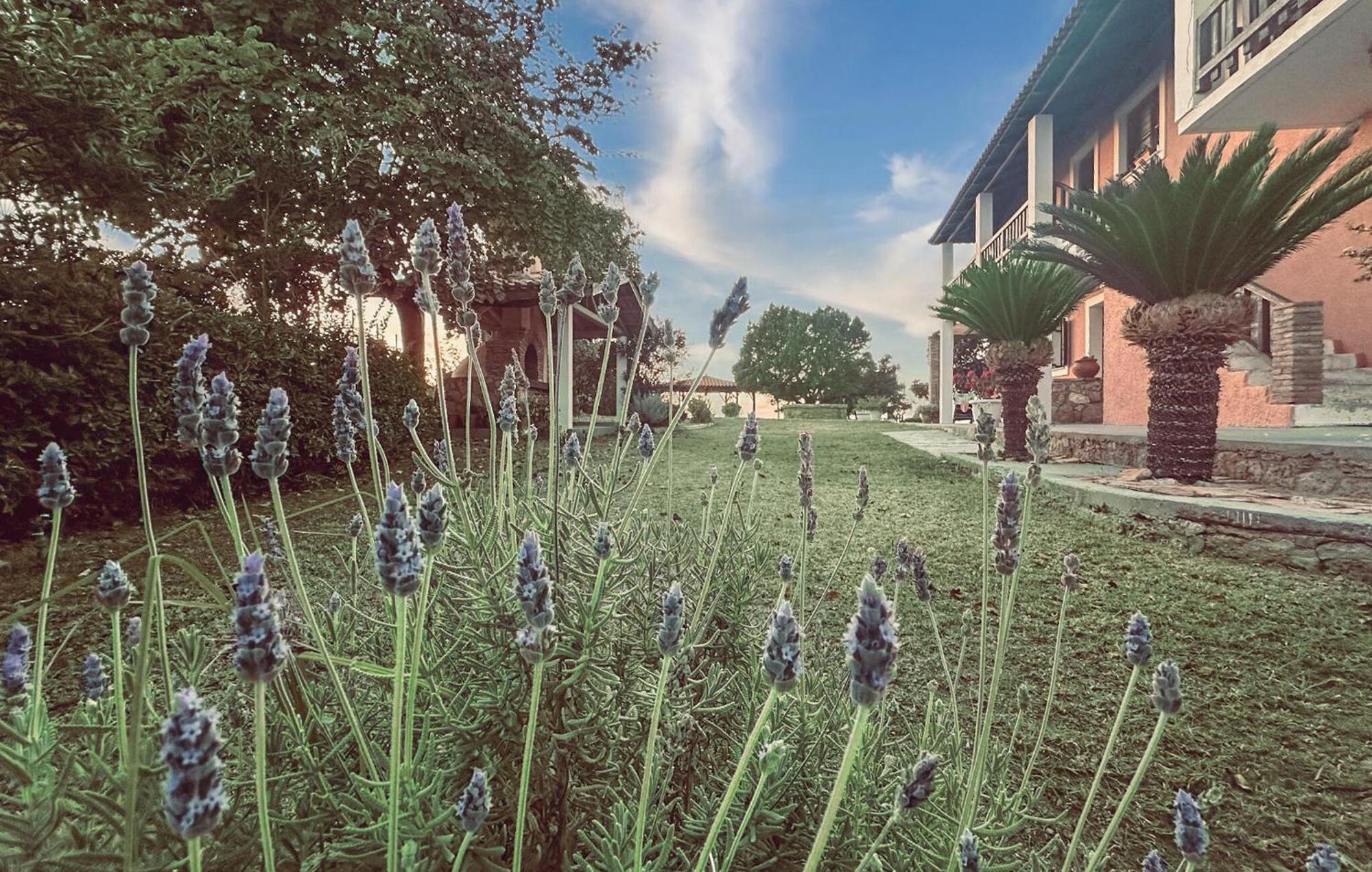 2 Bedroom Lovely Apartment In Leventoxori, Ilias Korakochori ภายนอก รูปภาพ